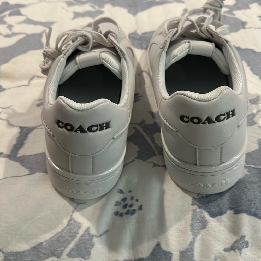 Coach low line low top sneaker